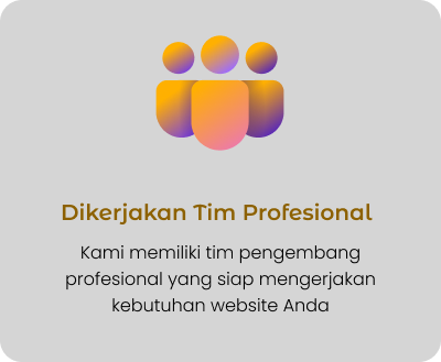 Tim Profesional
